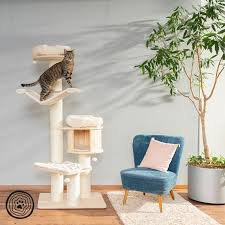 Space needed with ceiling attachment and hammocks to the side: Natural Paradise Cat Tree Xl Premium Zooplus