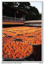 新埔之旅 彭小新的部落格 痞客邦pixnet pumpkin patch pumpkin outdoor