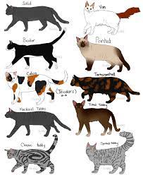 A colour point cat is born without the distinct darker markings but develops them as they grow. Cat Fur Patterns By Nixhil Cat Fur Cat Breeds Chart Cats Illustration