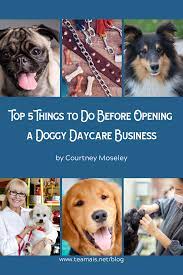 Top 5 Things To Do Before Opening A Doggy Daycare Business Dog Daycare Business Dog Daycare Design Dog Business