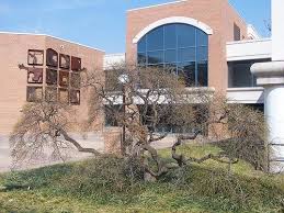 Central Library Arlington Public Library Central Library Arlington Public Library