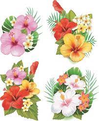 Beautiful Flowers Vector 05 Tropical Flower Tattoos Hibiscus Drawing Hibiscus Flower Tattoos