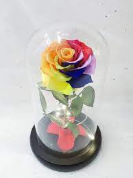 Maybe you would like to learn more about one of these? Preserved Flowers The Singapore Florist Preserved Rose Singapore
