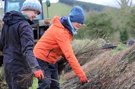Coologue, County Tipperary