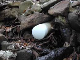 FIELD INVESTIGATION REPORT