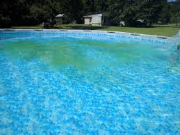 Maybe you would like to learn more about one of these? If You Ve Got Iron In Your Fill Water Use Polyfill To Remove It Trouble Free Pool