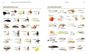 Complete Guide To Fresh And Saltwater Fishing Conventional