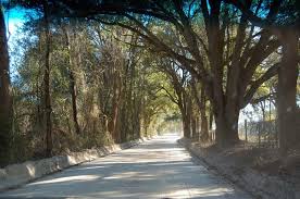 52, lake city, sc 29560 get directions. Lake City Fl Scenic Drive In Lake City Fla Photo Picture Image Florida At City Data Com