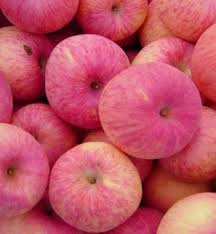 Apel adalah buah yang populer, mengandung antioksidan, vitamin, serat makanan, dan berbagai nutrisi lainnya. 13 Manfaat Buah Apel Fuji Untuk Kesehatan