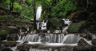 Berada di lereng gunung welirang, tempat ini. Air Terjun Dlundung Bramakha Com