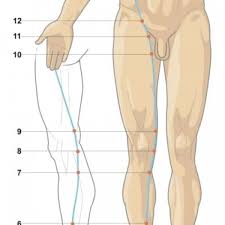 Durerea aparuta pe partea dreapta poate fi datorata vezicii biliare (in colica biliara sau colecistita), ficatului (in. Reflexoterapie Si Remedii De Vindecare
