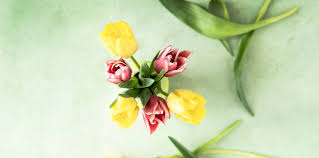 Compleanno fiori immagini pixabay scarica immagini gratis. Pittaluga Zunino Fioristi In Albaro