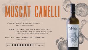 Peltzer Family Cellar S Muscat Canelli Is A Sweet Treat To Pair With Your Favorite Dessert Just The Right Balanc Wine Desserts Wine Parties Wine Tasting Party