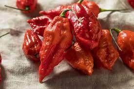 I get a coughing fit every time because ghost pepper. Ghost Pepper Guide Heat Flavor Uses Pepperscale