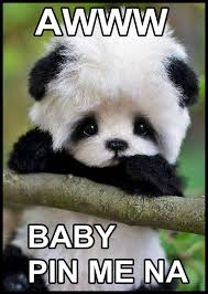 Howledge Ultimate Guide On How Tos Baby Animals Funny Cute Baby Animals Baby Animals Super Cute