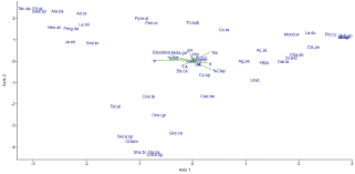Image result for Sherbournia bignoniiflora