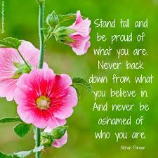 Stand Tall Stand Tall Finding Hope Blossom Flower