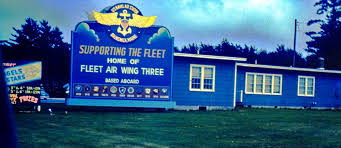 Image result for Dark Blue 1982 Fleet