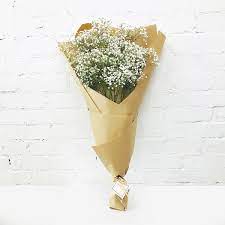 Alibaba.com offers 3,823 babys breath flower products. Buy Baby S Breath Online Flower Delivery Melbourne Amazing Graze Flowers