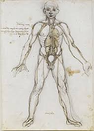 Today we'll be looking at the 10 largest. List Of Skeletal Muscles Of The Human Body Wikipedia
