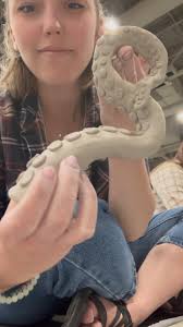 NCECA part 2!! I barely scratched the surface of this incredible pottery  conference and I’m hopeful I’ll get to go next year in Detroit! ,  #potteryartist #nceca #nceca2025 #utahartist #slcartist ...