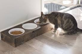 Kitchen Chronicles The Reveal Diy Pet Food Stand Cat Food Station Diy Dog Stuff Pet Food Dishes