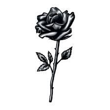 One might think that a rose tattoo will entail a flower embedded into the tissue of your skin. Buy Black And White Rose Stem Temporary Tattoo For Usd 1 93 5 80 Temporary Tattoos