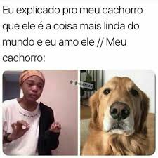 Corinthians duilio retarda nomeações de diretores para não perder votos. 75 Memes Engracados Para Alegrar A Sua Semana Memes Engracados Memes Meme Engracado