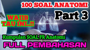 Proses interaksi antar seseorang/beberapa orang dengan kelompok atau lingkungan masyarakat menggunakan informasi agar saling terhubung. Kumpulan Soal Skb Cpns Pjok Anatomi Part 3 Full Pembahasan Fr Tahun Lalu Cat Online Guru Penjas Youtube