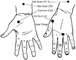 Immune System Strengthening And Acupuncture Helene Becquehelene Becque