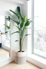 Enjoy now and pay later with afterpay at ebay. 20 Best Indoor Planters Stylish Indoor Plant Pots