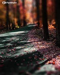 200 Photo Editing Background Images Hd Download New Cb Background 2020 Remove the background from your photo automatically and download a transparent png or add a background to make your image stand out.