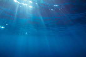 Learn all about sparkling water and health. In Deep Water Research And Innovation