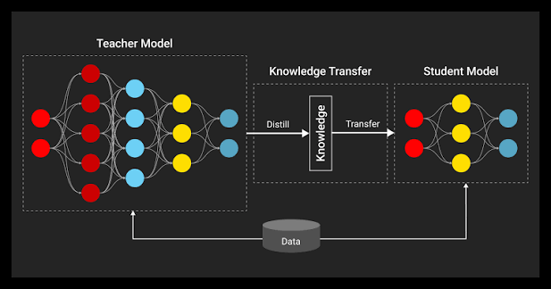 Model Distillation: Teacher-Student Training Guide 2026 | Label Your Data