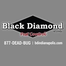 Whether you're having a problem with general pests such as spiders and ants, specialty pests like bed bugs and termites, or need help with wildlife control, our specialists will diagnose your problem and provide cost effective options for your home or business. Black Diamond Pest Control Indianapolis 19 Photos Pest Control 1727 S Franklin Rd Indianapolis In Phone Number