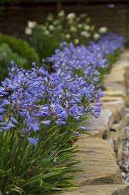 Pin On Diy Container Gardening