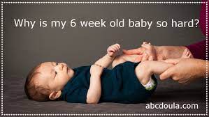Why Is My 6 Week Old Baby So Hard Abc Doula Newborn Care