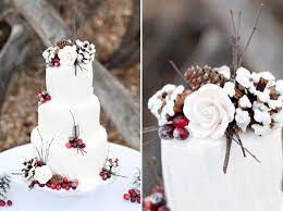 Gorgeous Winter Cake Winter Wedding Cake Winter Wonderland Wedding Cakes Winter Wedding Cupcakes