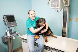Dog and cat clinic leavenworth ks. Dog Cat Clinic 1101 N 5th St Leavenworth Ks 66048 Usa