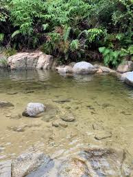 Sungai chiling waterfalls, 44000 kuala kubu baru, selangor, malaysia. Sungai Chiling Fish Santuary Walk Trail Kuala Kubu Bharu Selangor Malaysia Pacer