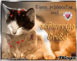 Kostenlose animierte karten für whatsapp und facebook. Einen Ganz Schonen Tag Wunsche Ich Dir Auch Wenn Das Wetter Etwas Trub Ist Guten Morgen Lustig Guten Morgen Witzig Guten Morgen