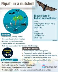 The 2018 outbreak of nipah virus in kerala, india, highlights the need for global surveillance of henipaviruses in bats, which are the reservoir hosts for this and other viruses. Deciphering Nipah All You Need To Know About The Deadly Virus Kerala News Manorama English