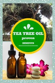 Tea Tree Oil 38 Remarkable Health Household Uses Tea Tree Oil Tea Tree Oil Benefits Tree Oil