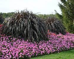 We did not find results for: 10 Companions For Ornamental Grasses In The Landscape Proven Winners
