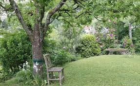 Wurzel Kur Neue Blute Fur Alte Obstbaume Miniaturgarten Baum Alte Baume