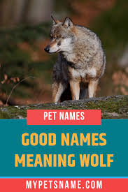 Good Names Meaning Wolf Boy Name Meanings Names That Mean Wolf Wolf Name