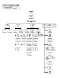 Downstate Medical Center Organizational Diagram Fill