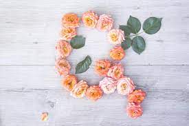 Letter q photos for download. Q Roses Flower Alphabet On Gray Wooden Background Flat Lay Stock Photo Image Of Blossom Closeup 124611014