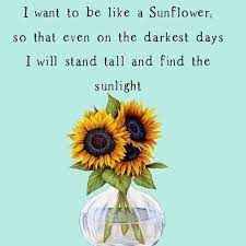 I Hope That One Day My Life Is Celebrated With Sunflowers Today On This Wellnesswednesday I Send You All A Big B Sunflower Quotes Flower Quotes Blue Quotes