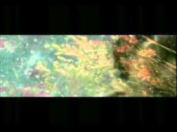 http youtu be wnmwi2oug5u good music music videos artist